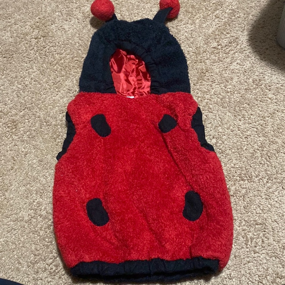 2T Lady Bug Costume